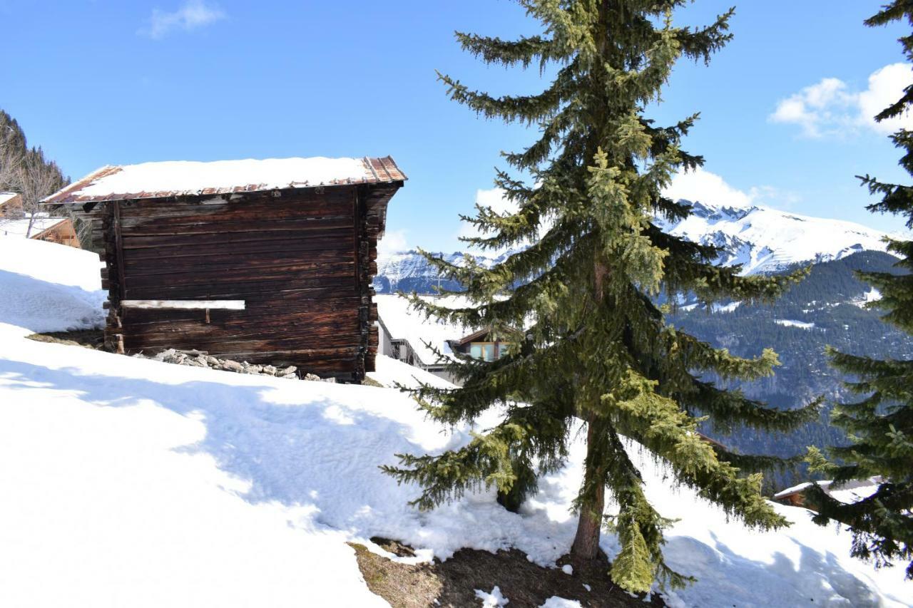 Sportlodge Muerren Bagian luar foto