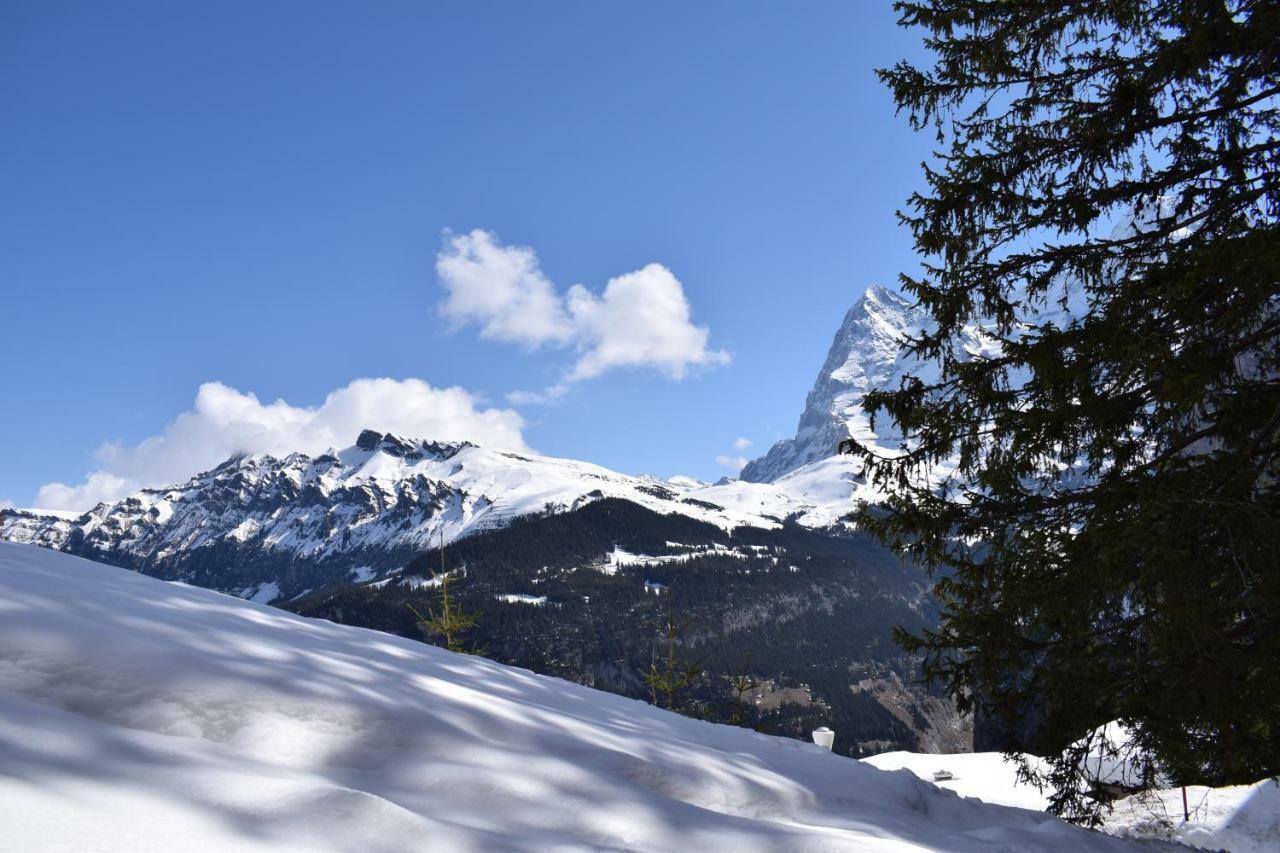 Sportlodge Muerren Bagian luar foto